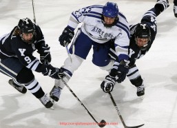 球探体育-意甲足球联赛所有参赛球队资料大全